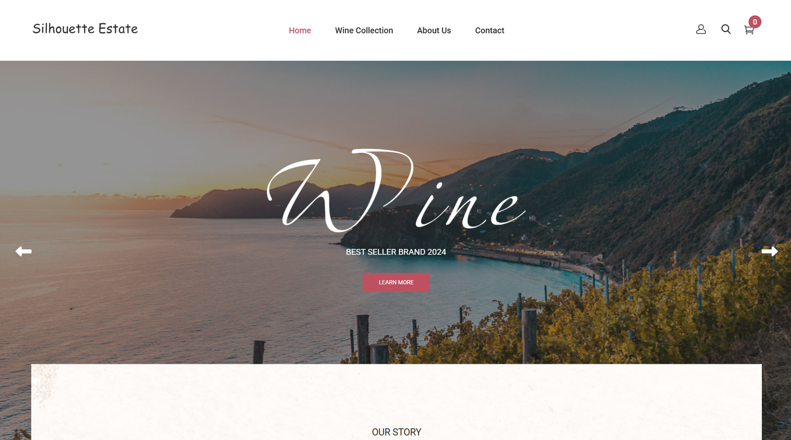 Personal Portfolio Images